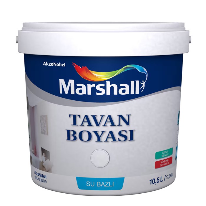 Marshall Tavan Boyası